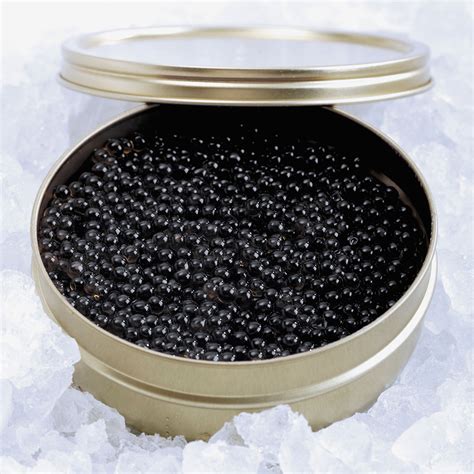 Black Caviar .